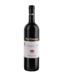 Dolcetto d'Alba DOC 2024 Pio Cesare