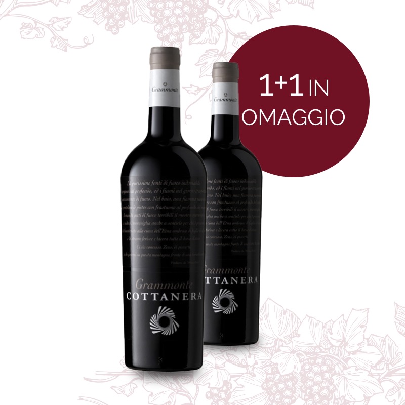 MAGMA I.G.T. Sicilia Rosso 2003（Veneto Rosso 
