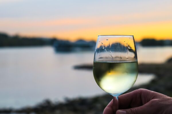 vino bianco
