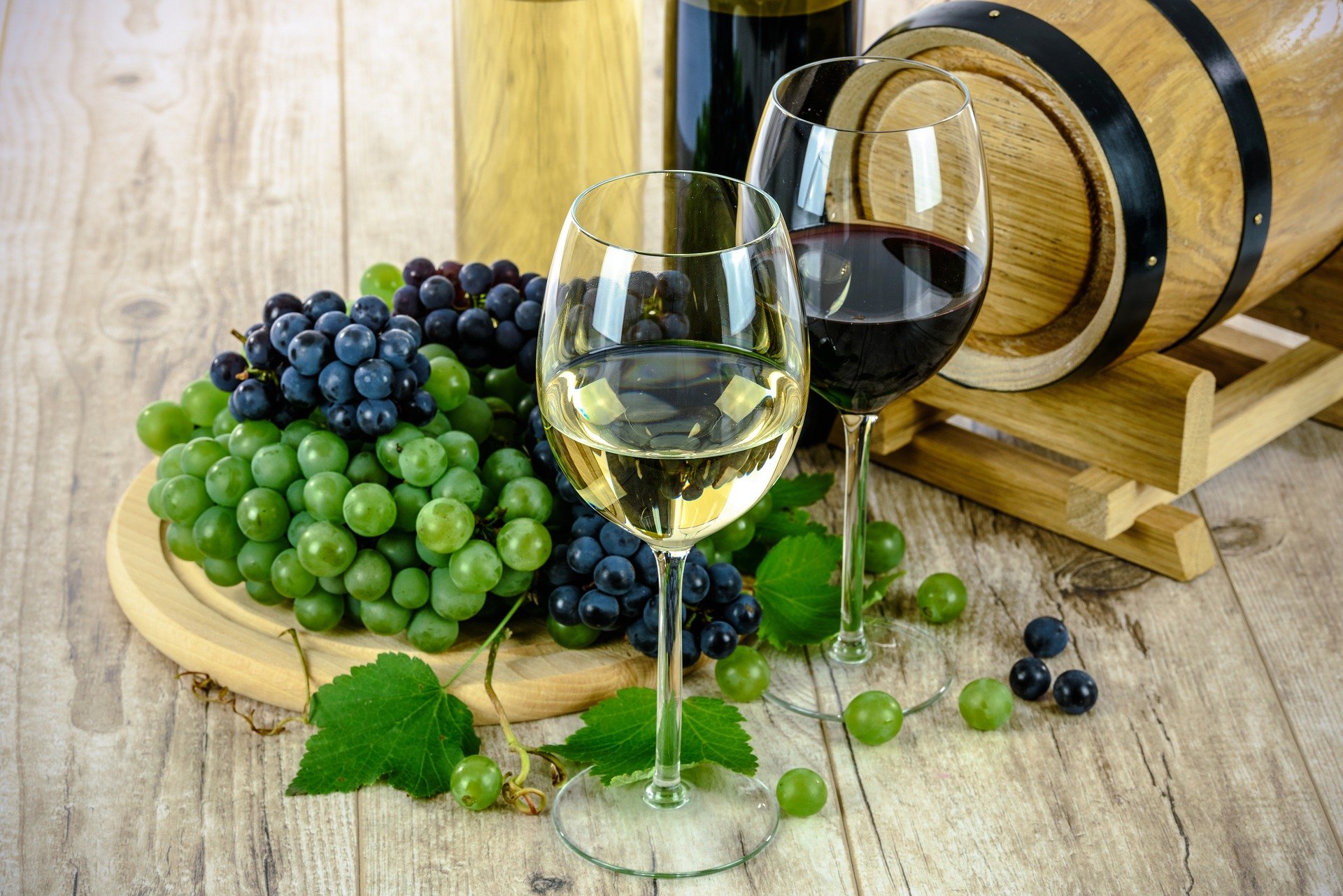 vino-online
