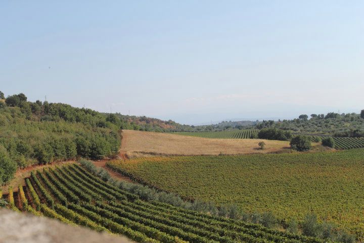 tenuta ferrocinto