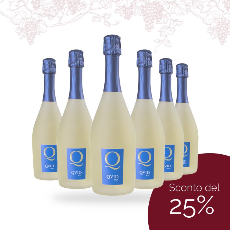6 Bottiglie Spumante Falanghina Brut Quid La Guardiense