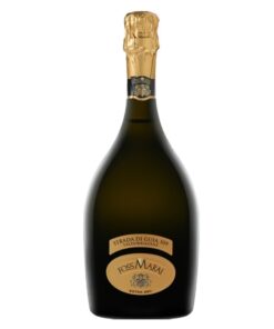 Valdobbiadene Prosecco Superiore Extra Dry DOCG Strada di Guia 109 Foss Marai