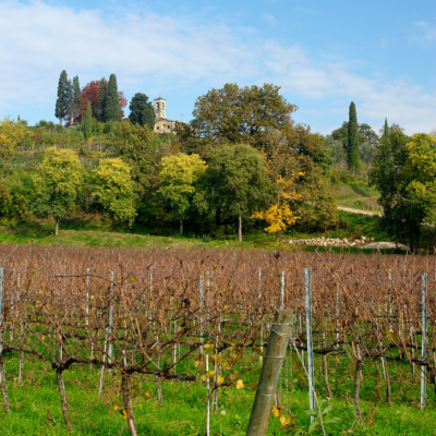Monte Rossa una cantina della Franciacorta