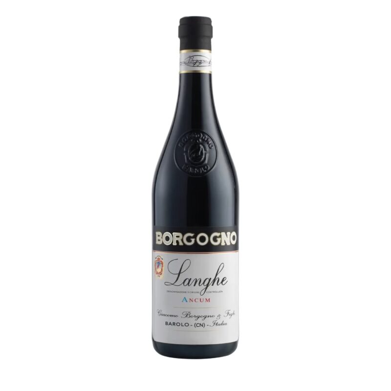 Langhe Ancum 2021 Dolcetto DOC Borgogno