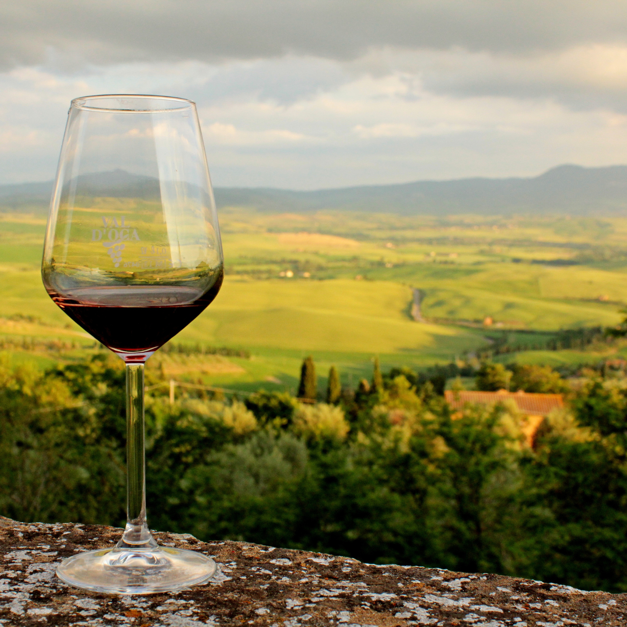Vini Spadafora