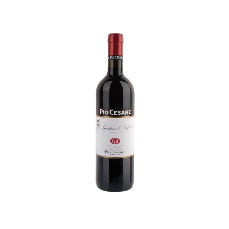 Barbera D'Alba DOC 2023 Pio Cesare