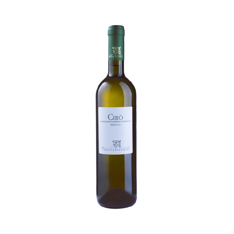Cir&ograve; Bianco DOC 2025 Tenuta Iuzzolini