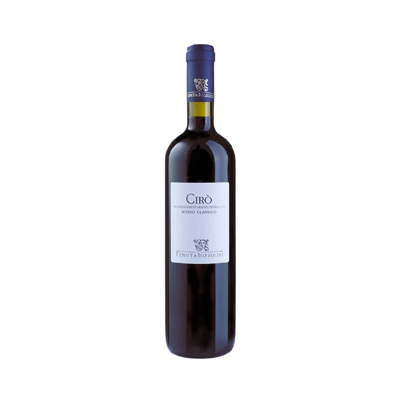 Cir&ograve; Rosso DOC 2024 Tenuta Iuzzolini